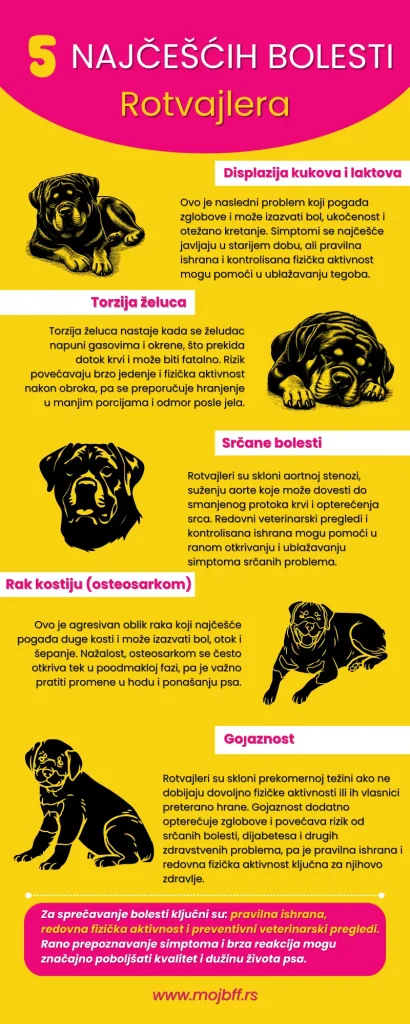 5_najcescih_bolesti_rotvajlera