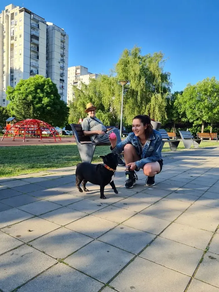 Oli_francuski buldog