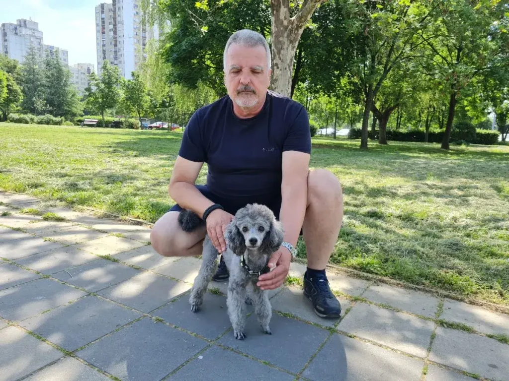 patuljasta_pudla_zen